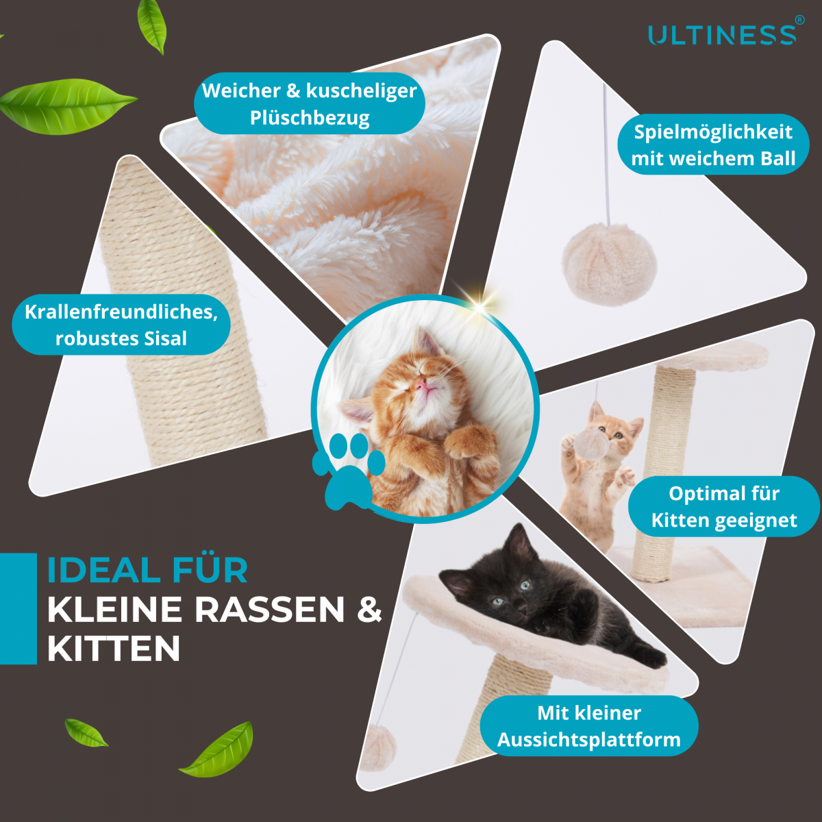 Kratzbaum COCO Kratzmbel & Kratzpfosten mit Sisal Mini Kratzbaum fr  Katzen | Kratzbume & Katzenhuser | Haus & Wohnen | Demmelhuber.net