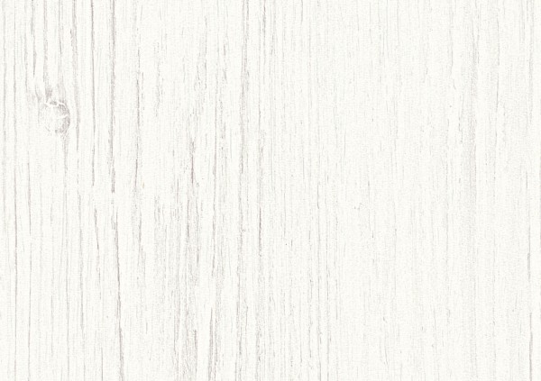 Dekorpaneele Terra DP 250 White Pine 4088